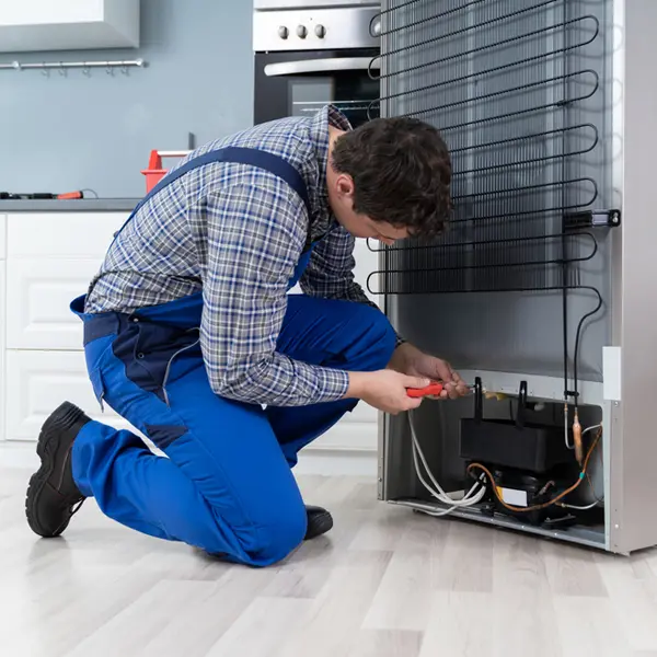 técnico reparación de electrodomésticos